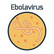 Ebola Virus N3