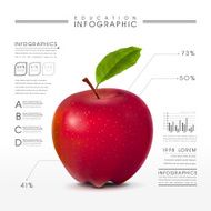 education infographic with close up look at realistic apple N2