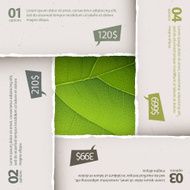 Green leaf texture under torn paper plates Options composition