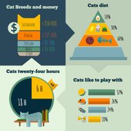 Vector flat cats life infographic