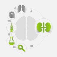 medicine sticker infographic N33