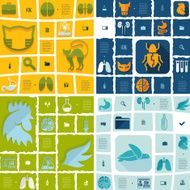 veterinary flat infographic N5
