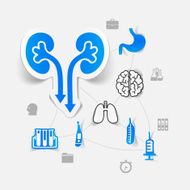 medicine sticker infographic N38