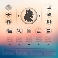 veterinary infographic with unfocused background N24
