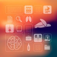 veterinary infographic with unfocused background N25