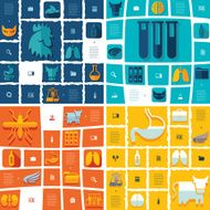 veterinary flat infographic N6