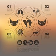 veterinary infographic with unfocused background N27