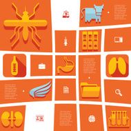 veterinary flat infographic N8