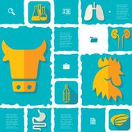 veterinary flat infographic N11