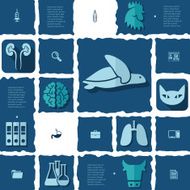 veterinary flat infographic N14