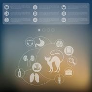 veterinary infographic with unfocused background N35