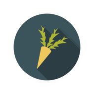 Flat Design Concept Carrot Vector Illustration With Long Shadow