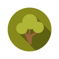 Flat Design Concept Green Tree Vector Illustration With Long Sha