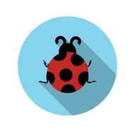 Flat Design Concept Ladybug Vector Illustration With Long Shadow
