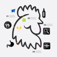 veterinary infographic N4