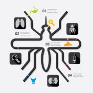 veterinary infographic N5