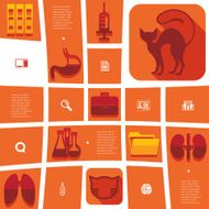 veterinary flat infographic N15