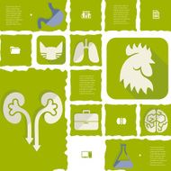 veterinary flat infographic N20