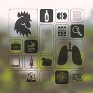 veterinary infographic with unfocused background N39