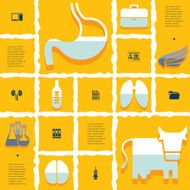 veterinary flat infographic N30