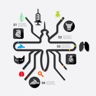 veterinary infographic N14