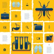 veterinary flat infographic N35