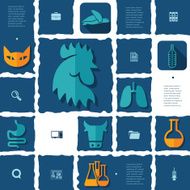 veterinary flat infographic N36