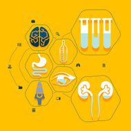 Medical flat infographic N25