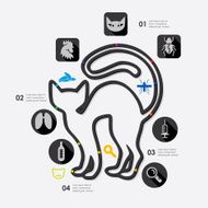 veterinary infographic N18