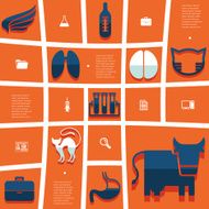 veterinary flat infographic N37