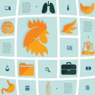 veterinary flat infographic N39