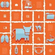 veterinary flat infographic N40