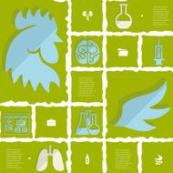 veterinary flat infographic N42