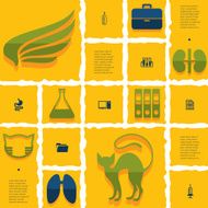 veterinary flat infographic N43