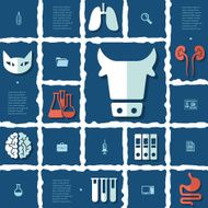 veterinary flat infographic N44