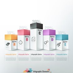 Modern infographics options banner N339