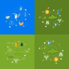Veterinary sticker infographic N32