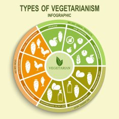 Vegetarian types infographic