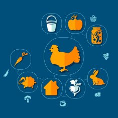 agriculture flat infographic N12