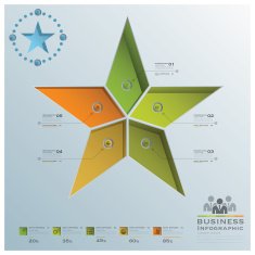 Star Shape Business Infographic
