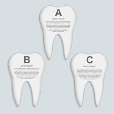 Vector tooth infographic Design template