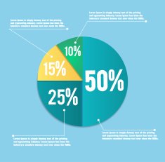 Business Pie Chart N9