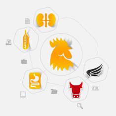 Veterinary sticker infographic N39