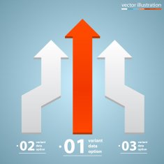 Arrows business growth N12