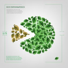 diagram Infographics Bio N3