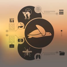 veterinary infographic with unfocused background N12
