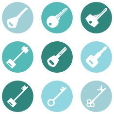 Vector Set of Keys Icons N5