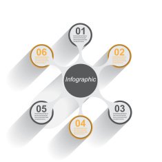 Infographic design template N117