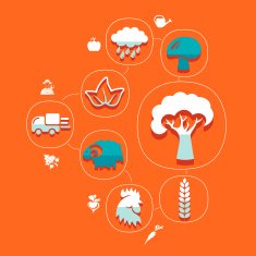 agriculture flat infographic N14