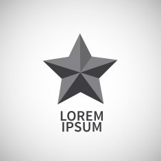 Icon flat element design star